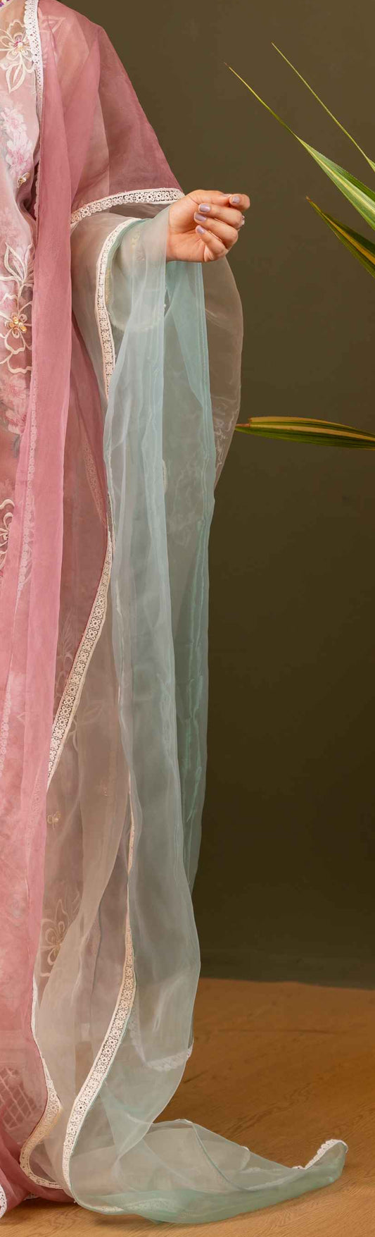 Pastel Breeze Organza Dupatta