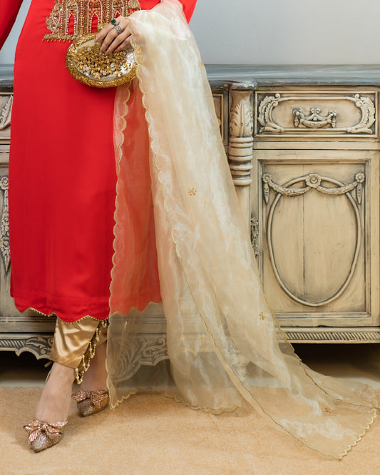 Graceful Embroidered Dupatta