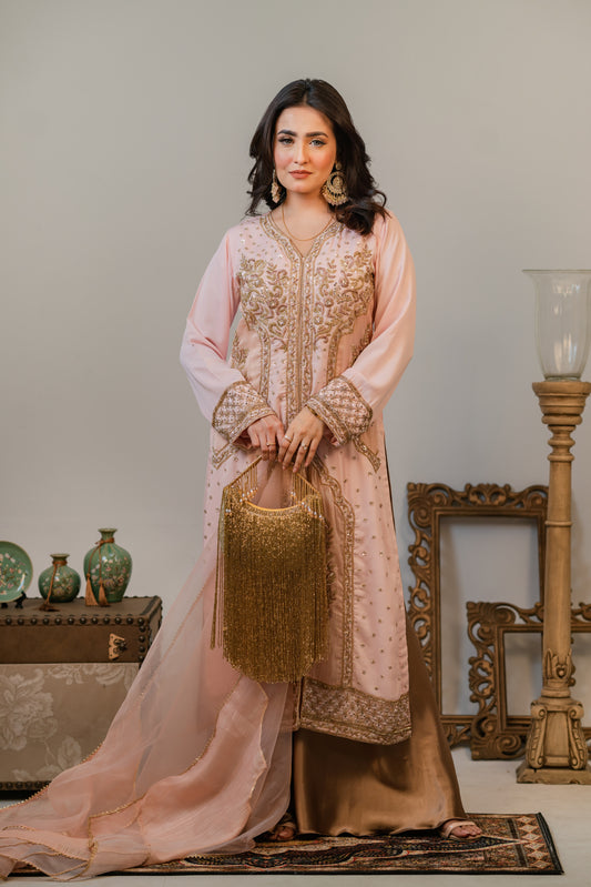 Blush Pink Gorgeous Shalwar Kameez Set