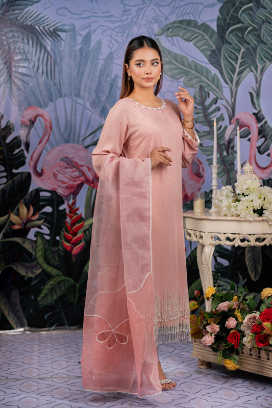 Blush Pink Pearl Kameez