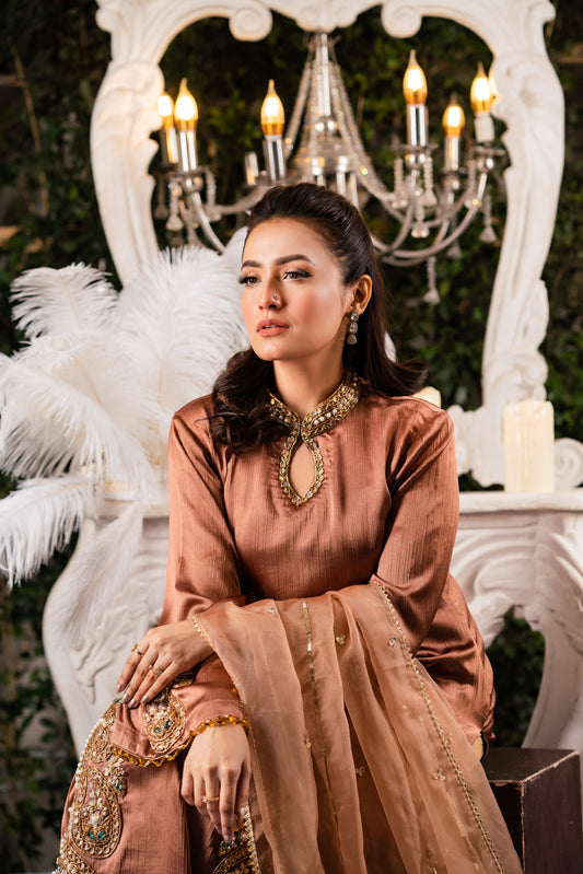 Copper Embellished Kameez