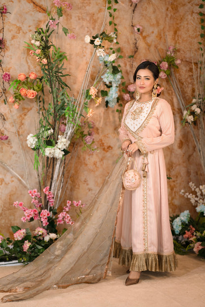 Blush Pink Anarkali Gown