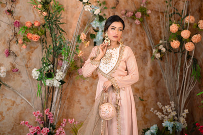 Blush Pink Anarkali Gown