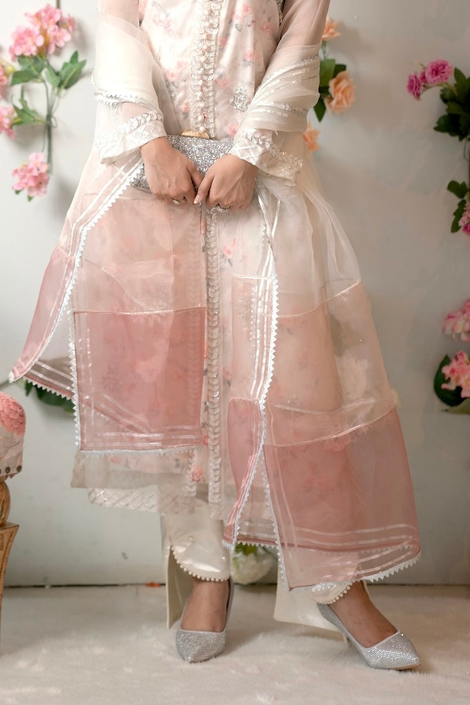 Blush Sheer Panel Dupatta with Lace Edges