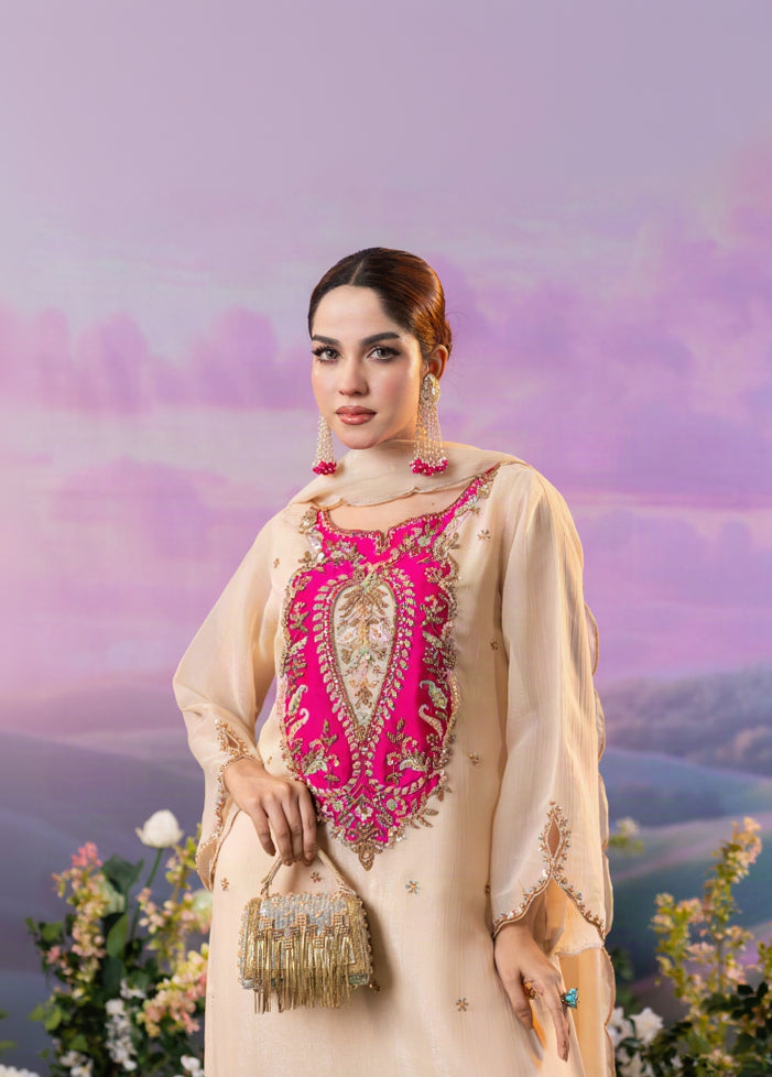 Blush Royale Long Kameez
