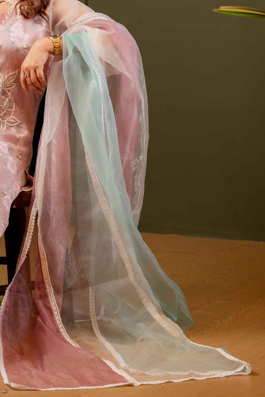 Pastel Breeze Organza Dupatta