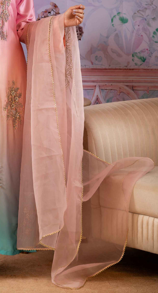 Whispers of Blush - Organza Dupatta