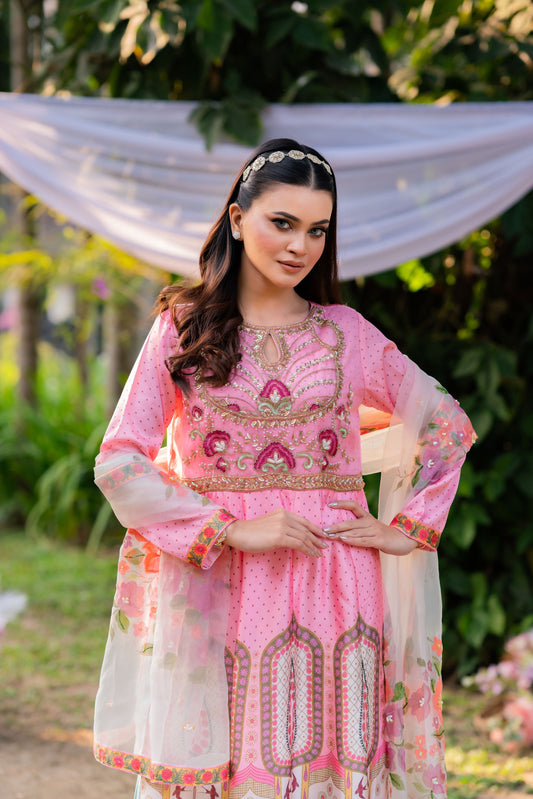 Blush Heritage Pink Anarkali With Orna