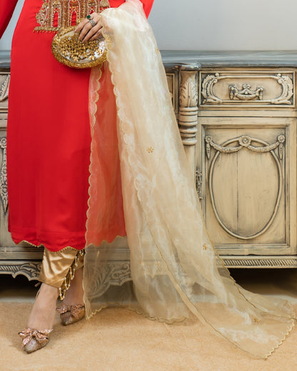 Graceful Embroidered Dupatta