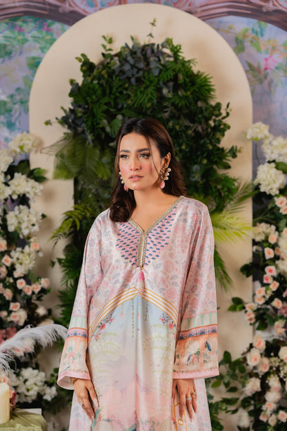 Blush Elegance Ensemble Long Kameez And Pant
