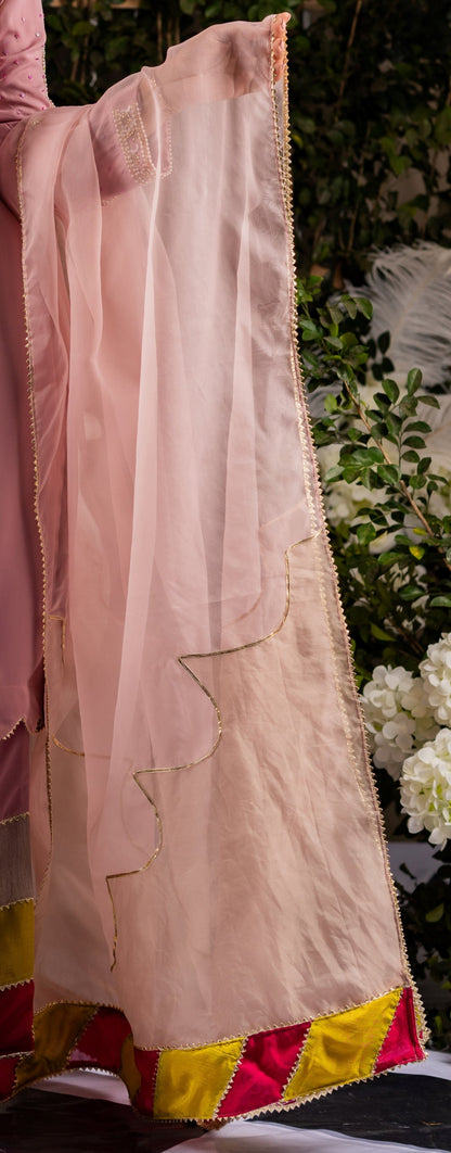 Soft Pink Dupatta with Delicate Golden Detailing