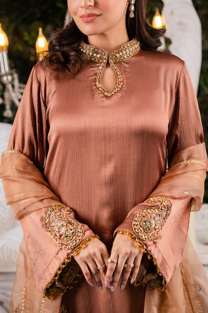 Copper Embellished Kameez
