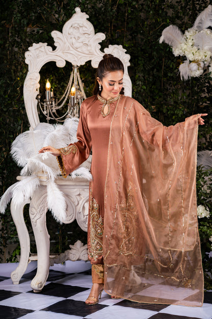 Copper Embellished Kameez