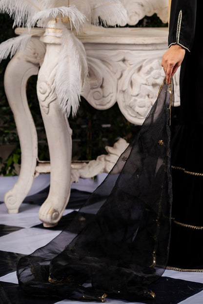 Midnight Elegance Dupatta